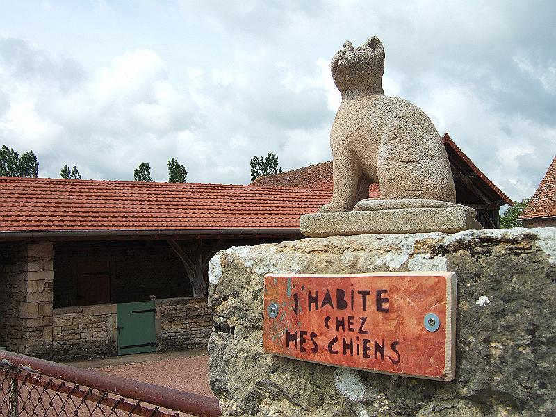 2010-05- (32).JPG - Ganz schön eingebildet, die Katze, die bei ihren Hunden wohnt